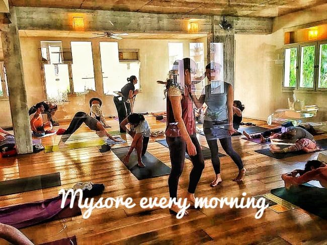 IMG_6724 מייסור יוגה