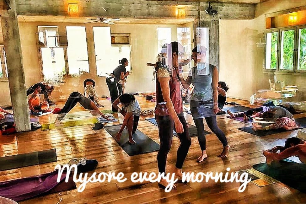 IMG_6724 מייסור יוגה