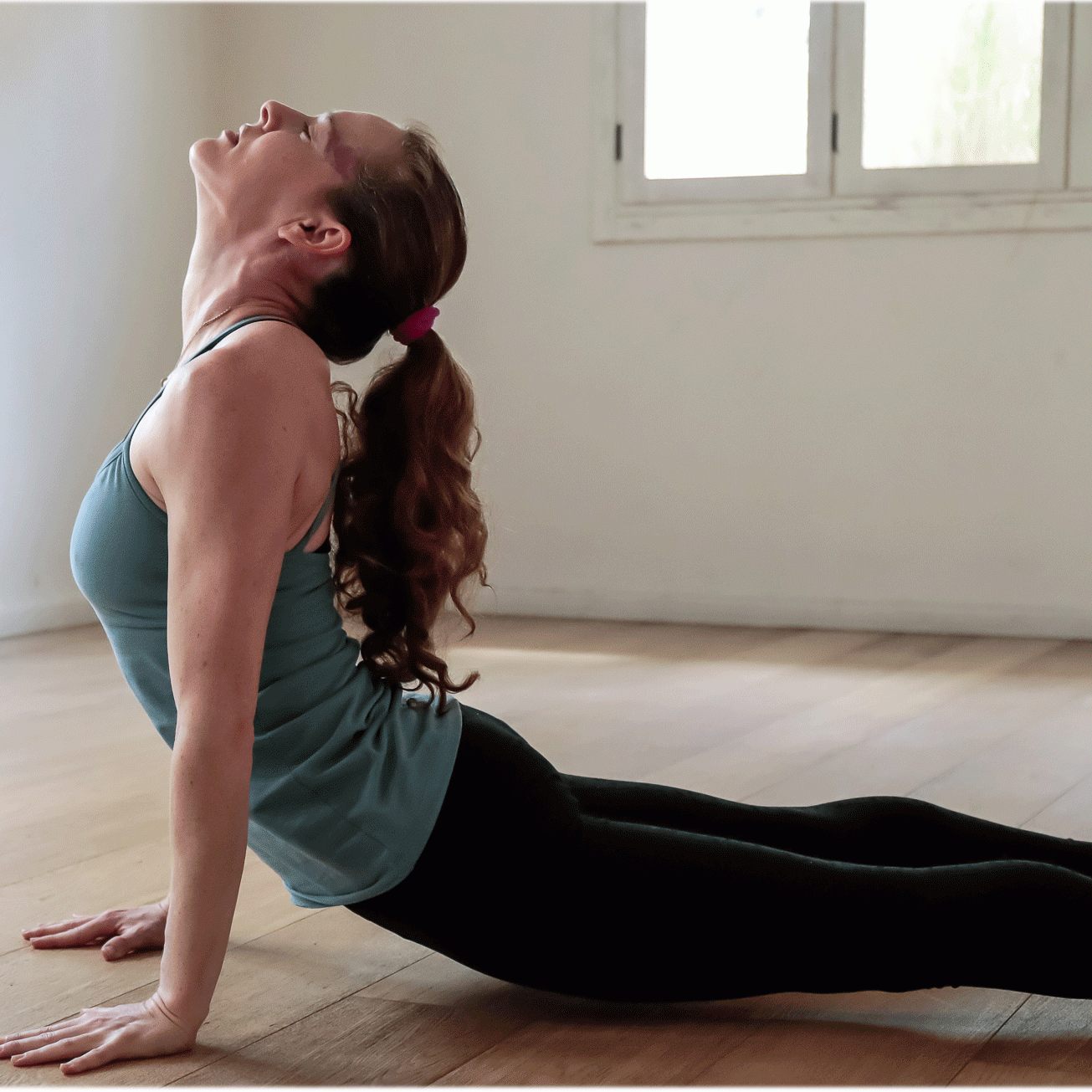 netta-front-page נטע