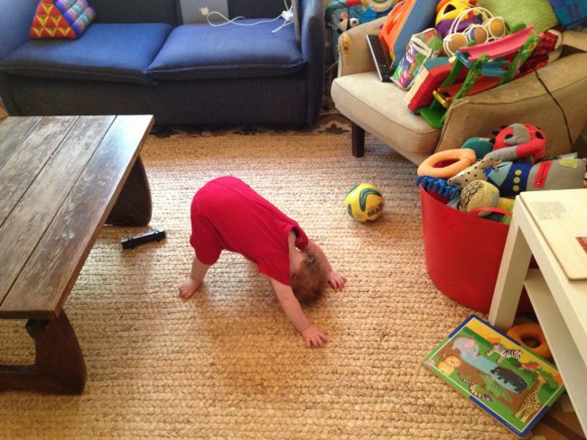 2013-07-18-09.40.42 אור כלב מביט