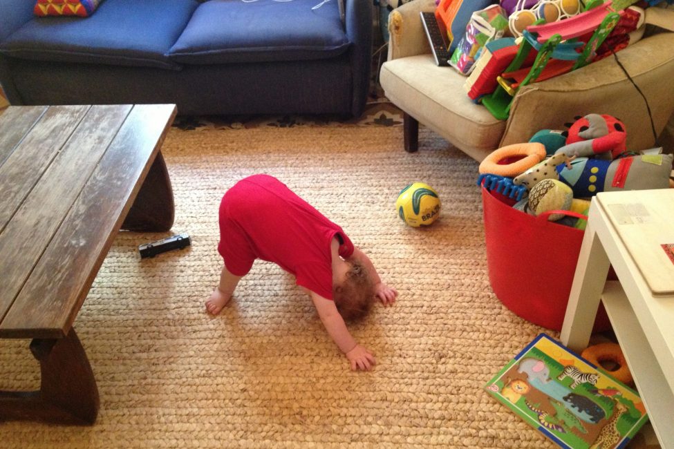 2013-07-18-09.40.42 אור כלב מביט