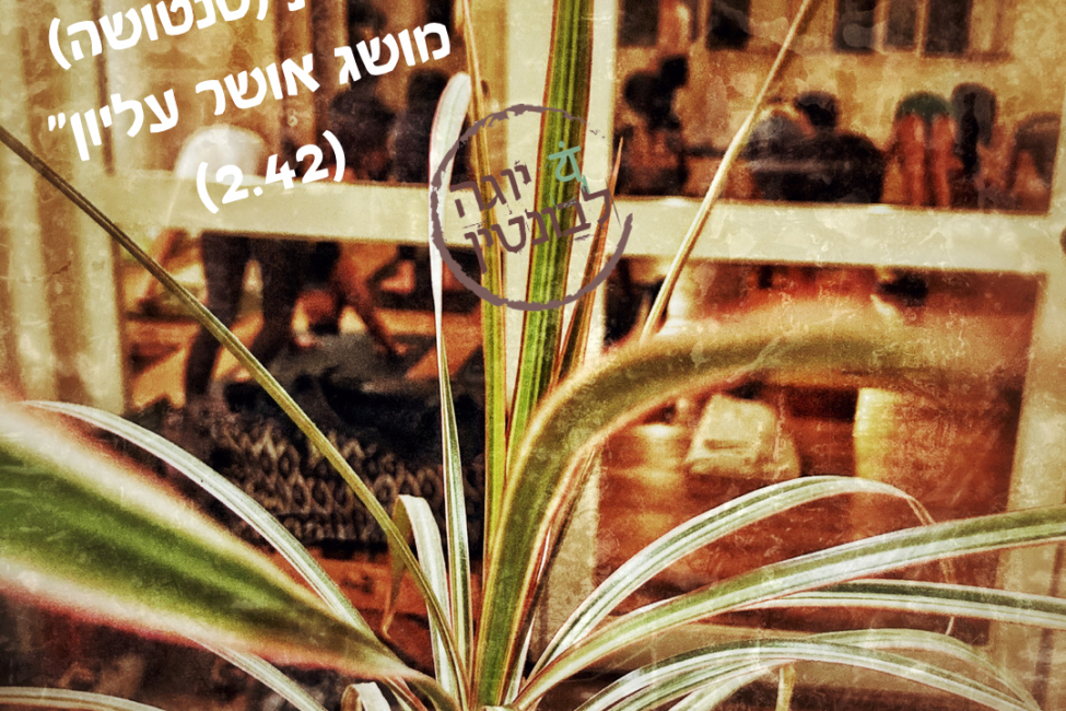 087BC754-5956-4DD0-9059-6E91EBAD69D8 מן ההסתפקת פטנג׳לי