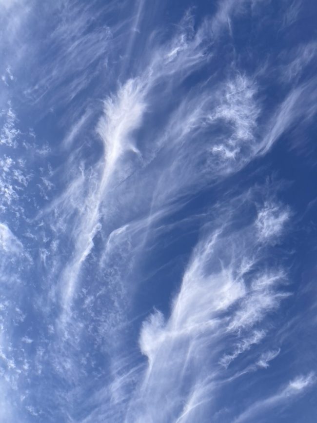 97D3421B-A9CB-415C-9780-69EC95BFA006_1_105_c שמים