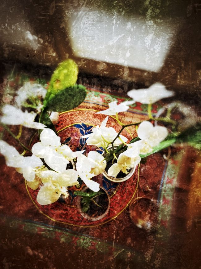 BEFC8E3D-46DB-4A3E-BA2E-EF9CB2F2944E_1_105_c לימודי יוגה מקצועיים