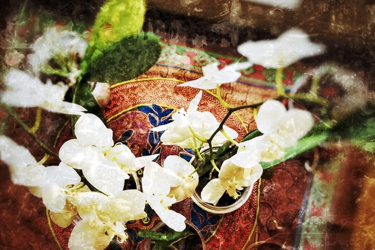 BEFC8E3D-46DB-4A3E-BA2E-EF9CB2F2944E_1_105_c לימודי יוגה מקצועיים