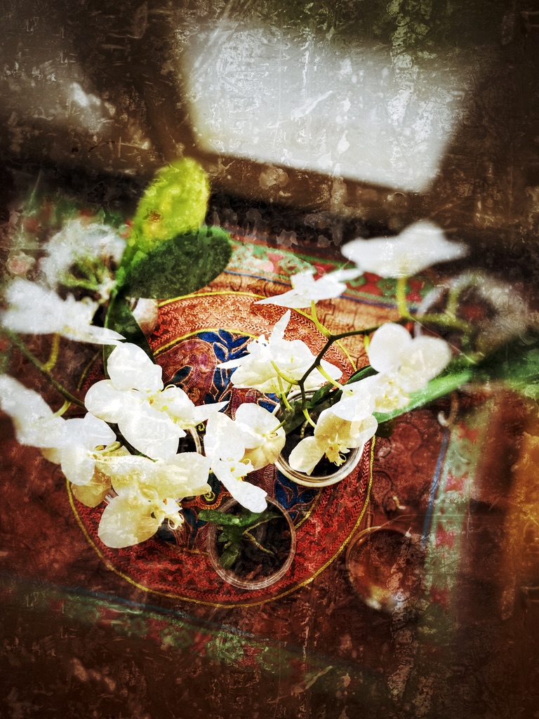 לימודי יוגה מקצועיים