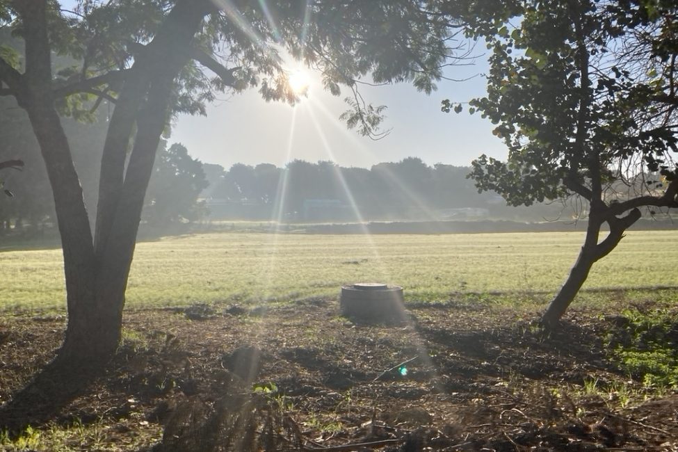 F3CF68C0-351F-4D2E-8FC8-0B5A1B2F24DC_1_105_c קורס מורים ליוגה שמש